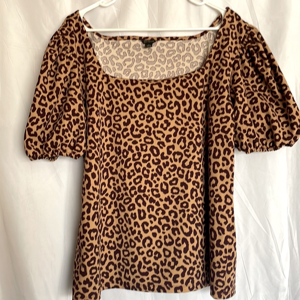 Ann Taylor XL